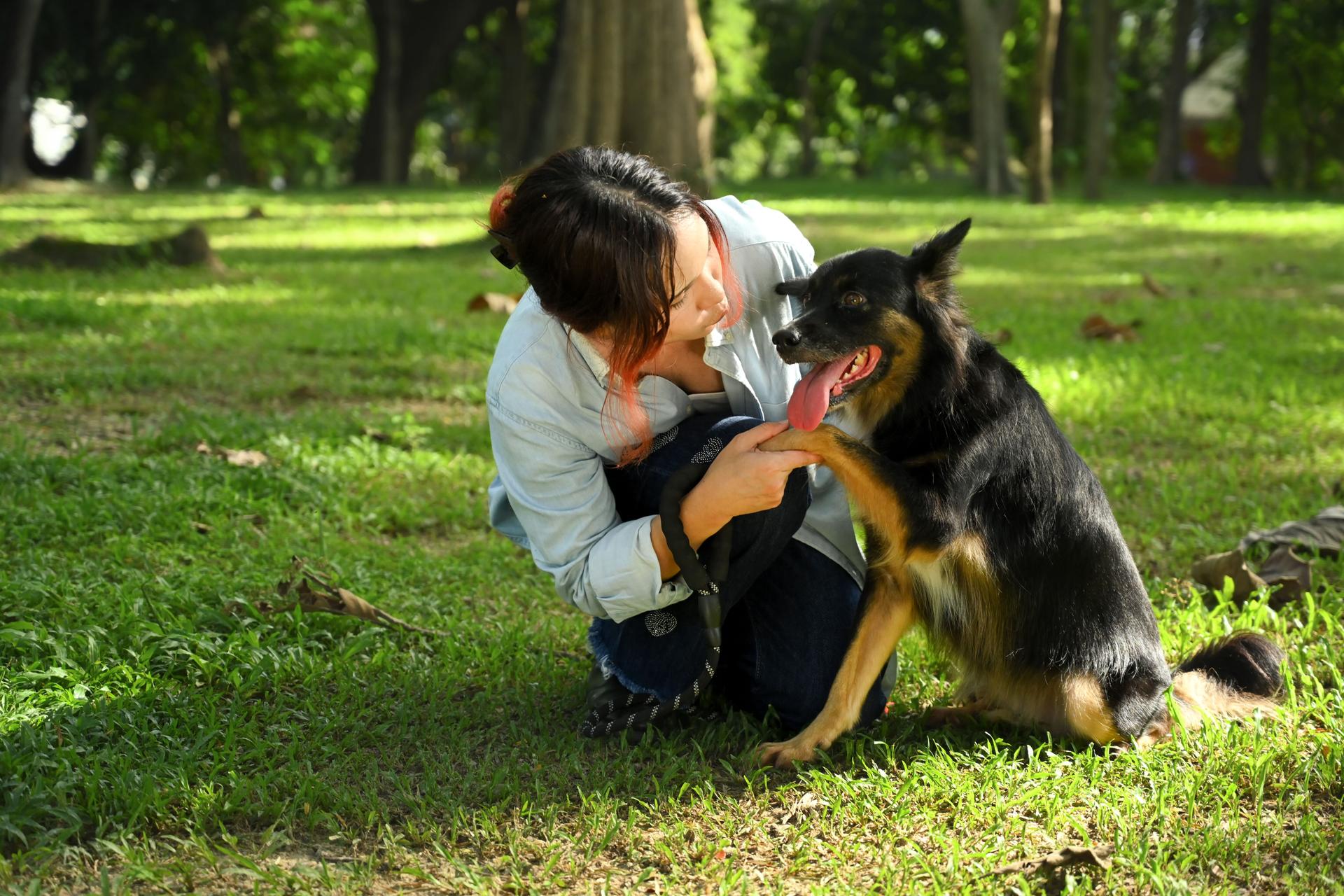 Shot of young woman gently holding the dog paw, affectionate connection between owner and her pet