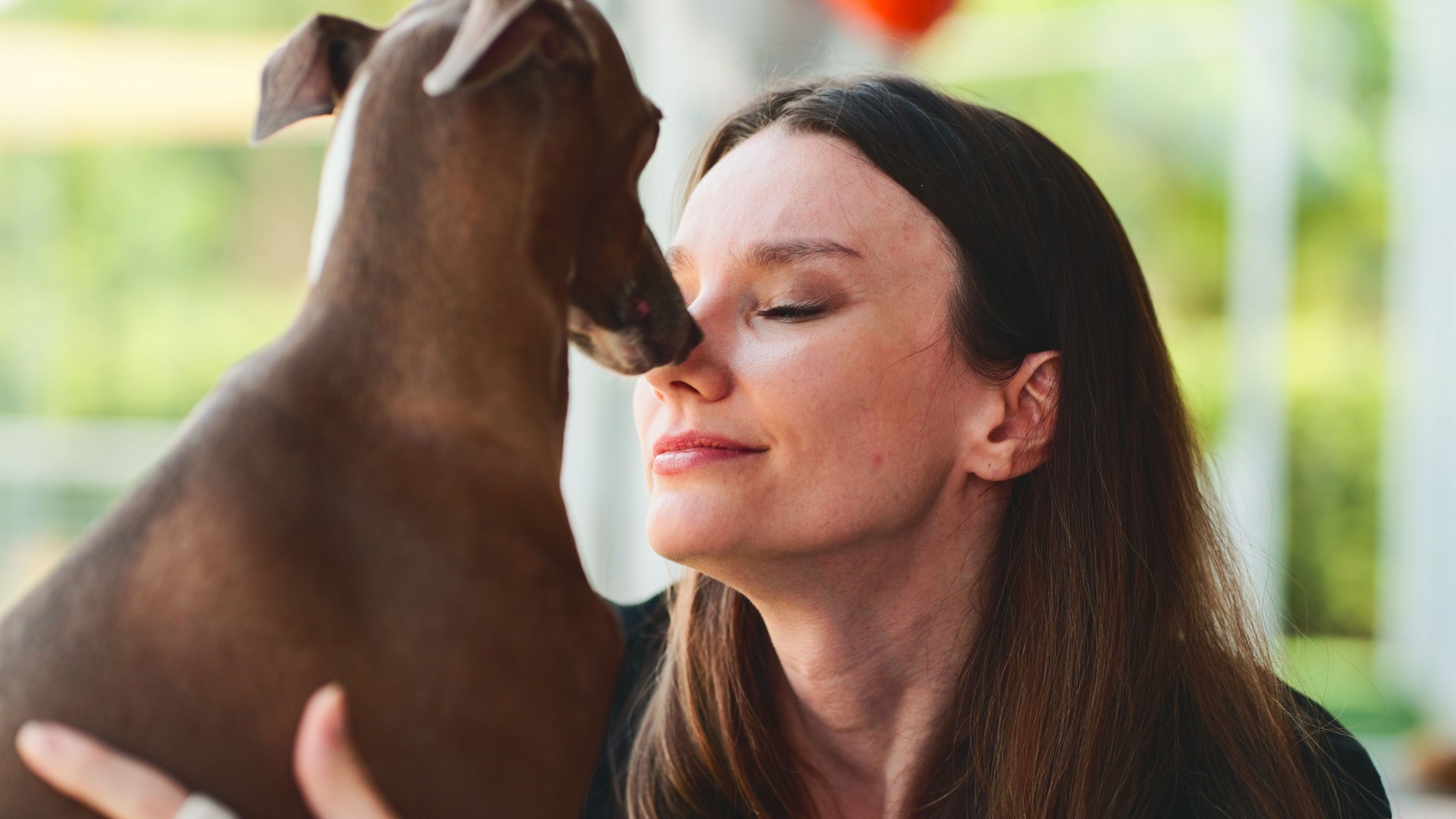 Woman hugging her beloved dog. Animal communication concept.
