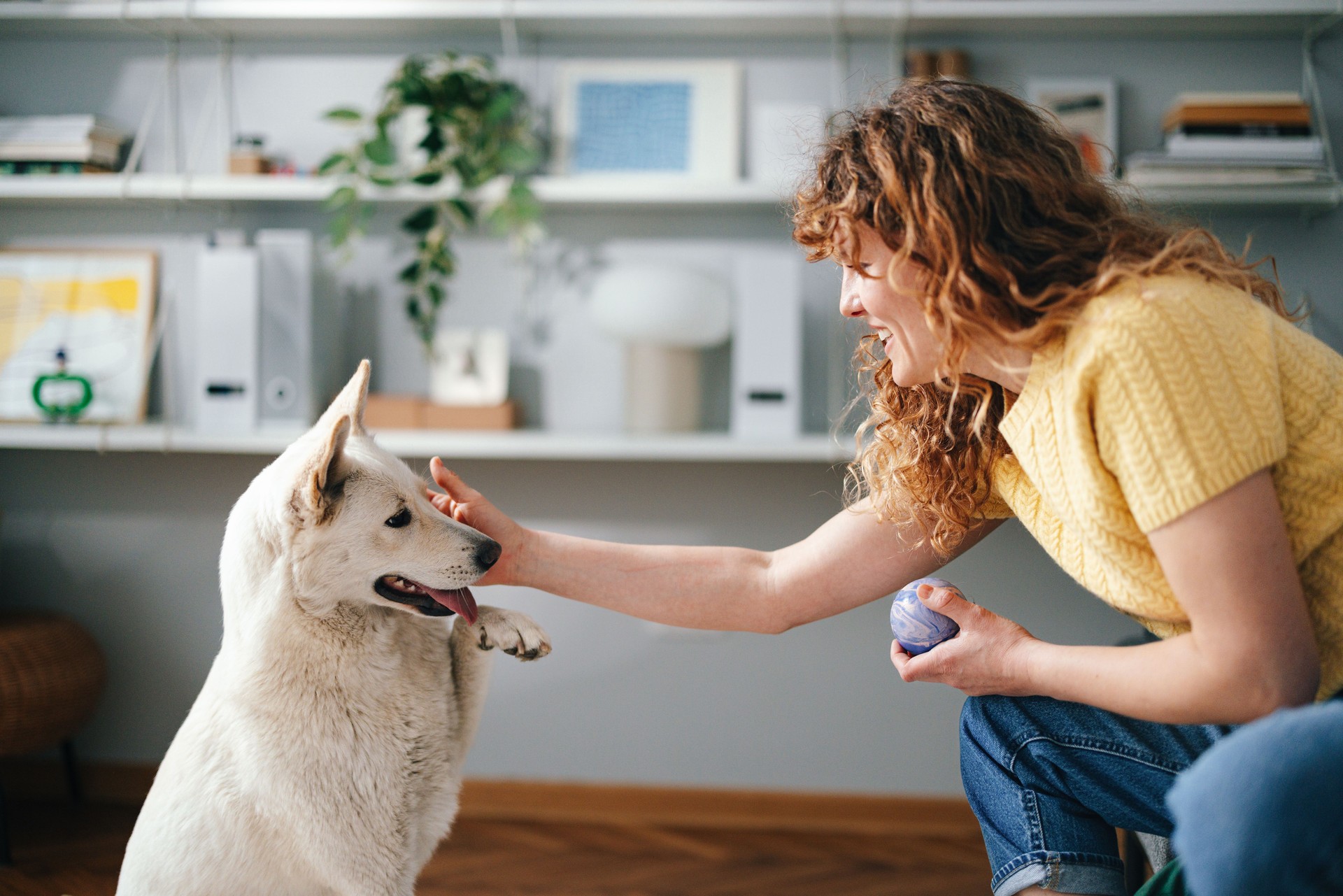 Woman Interacting with a Dog in a Cozy Home Environment